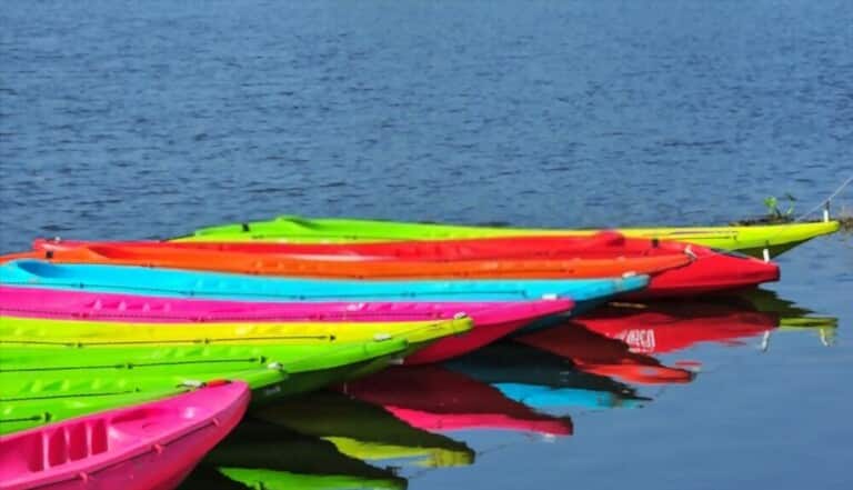 Discover the Best of Maui: 14 Must-Do Activities Discover the Best of Maui: 14 Must-Do Activities
