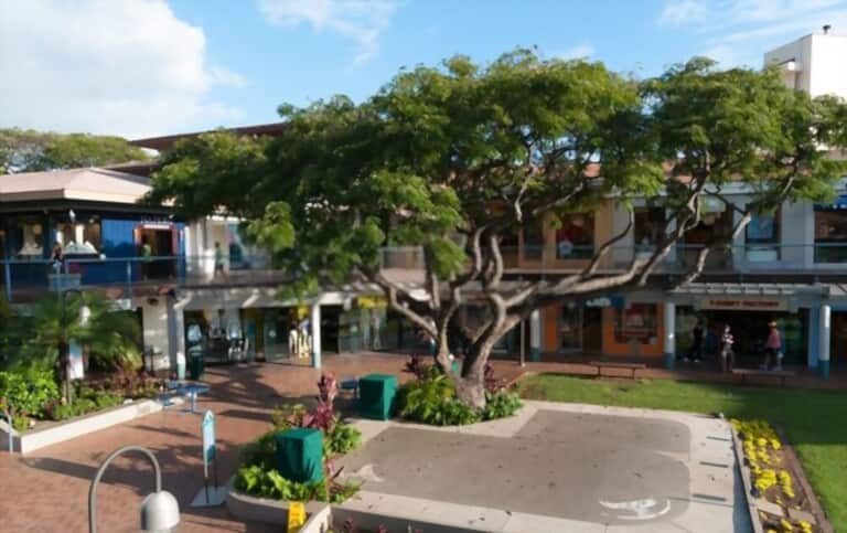 Discover the Best of Maui: 14 Must-Do Activities Discover the Best of Maui: 14 Must-Do Activities