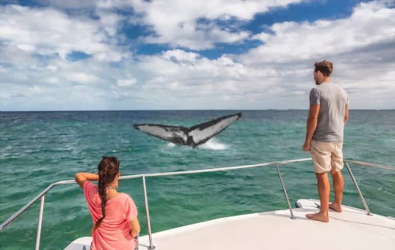13 Top Free Things to Do in Hawaii 13 Top Free Things to Do in Hawaii