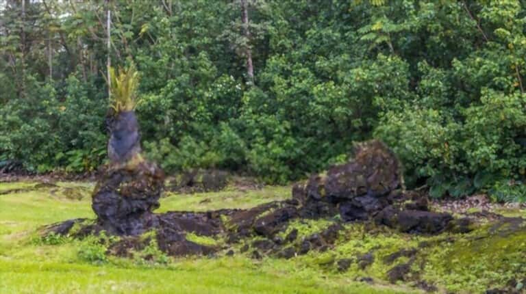 13 Top Free Things to Do in Hawaii 13 Top Free Things to Do in Hawaii