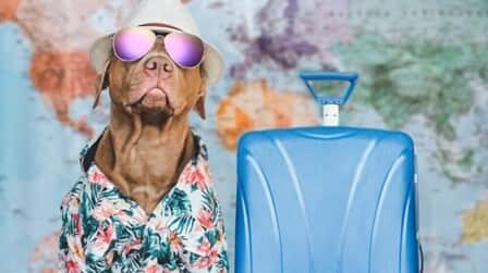 Tips and Tricks for Combining Hawaiian Shirts with Suits and Blazers
