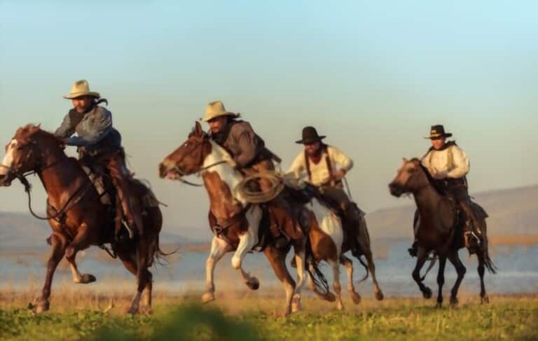 cowboy riding horse on the green field