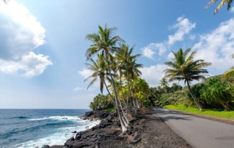Pahoa, a Coastal Retreat with a lot of trees Pahoa, a Coastal Retreat with a lot of trees