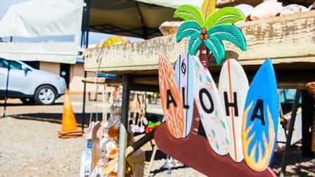 Embracing the Aloha Life: 10 Compelling Reasons to Make Hawaii Your Home