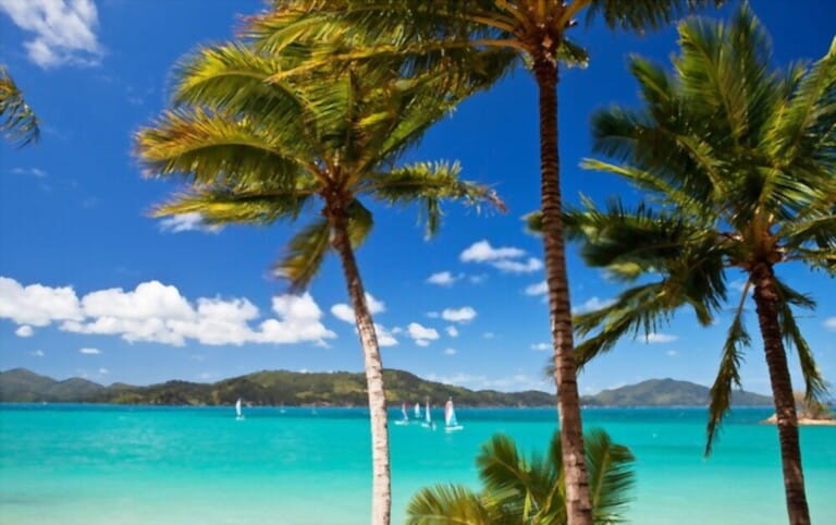 Hamilton Island in the Whitsunday Islands Hamilton Island in the Whitsunday Islands