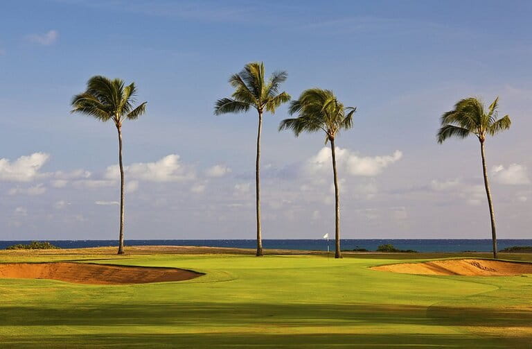 golf course with beautiful landscape near Hawaii beach golf course with beautiful landscape near Hawaii beach