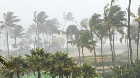 Why Hawaii Rarely Experiences Hurricanes?