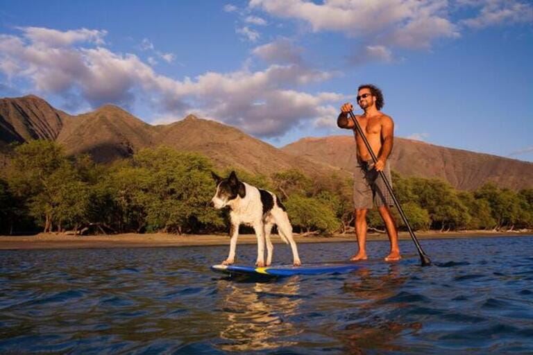 Active man paddles a stand up paddle board with his dog at Olowalu, Maui, Hawaii. West Maui Mountains in the distance Active man paddles a stand up paddle board with his dog at Olowalu, Maui, Hawaii. West Maui Mountains in the distance