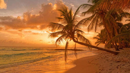 Hawaii Vs. The Caribbean: Comparing 8 Key Factors for Making Your Choice