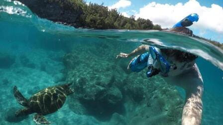 The Ideal Time to Snorkel in Maui