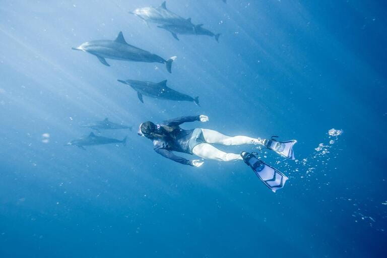 Woman model diver swimming with wild spinner dolphins in deep blue Hawaii coral reef waters Woman model diver swimming with wild spinner dolphins in deep blue Hawaii coral reef waters