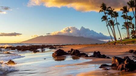 Top Maui Beaches for Swimming