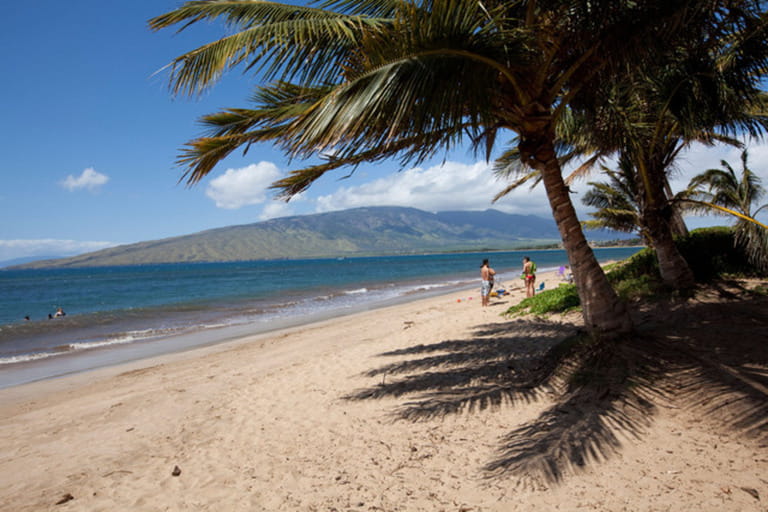 Kalepolepo Beach Kihei Maui Hawaii Kalepolepo Beach Kihei Maui Hawaii