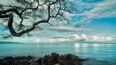 Maui Love: Nurturing Romance as a Single in Paradise