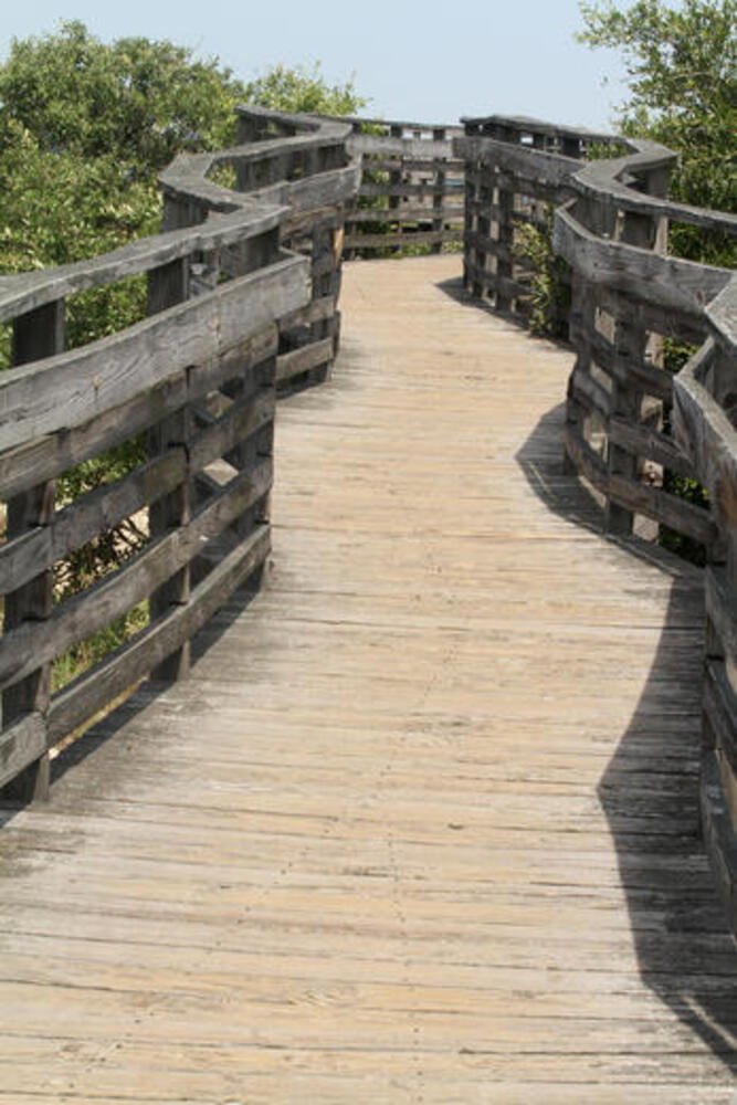 Walkway to the ocean at First Landing State Park, USA Walkway to the ocean at First Landing State Park, USA