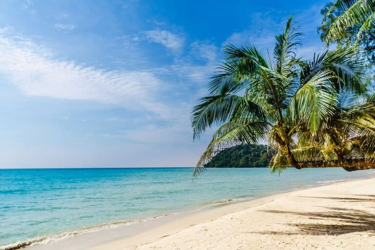 Tropical palm beach on Koh Kood island - Thailand Tropical palm beach on Koh Kood island - Thailand