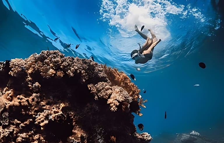 Woman with mask dive to the deep near corals in tropical blue sea. Snorkeling with woman in Hawaii Woman with mask dive to the deep near corals in tropical blue sea. Snorkeling with woman in Hawaii