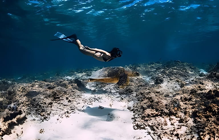 Woman freediver glides underwater with sea turtle.