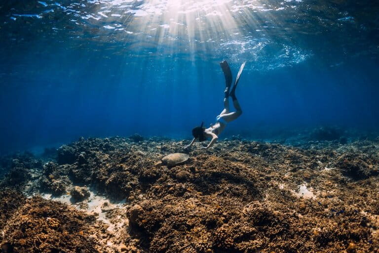 Woman freely gliding across coral reef bottom with fins and sea turtles.