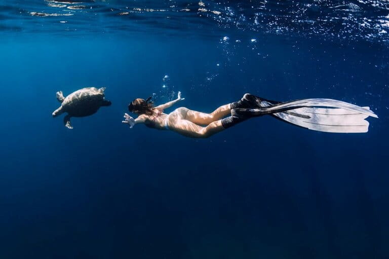 Woman with fins diving underwater with turtles in the ocean. Swimming with sea turtles.
