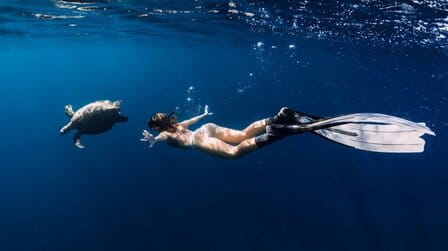 Does Oahu Have Good Snorkeling? Does Oahu Have Good Snorkeling?