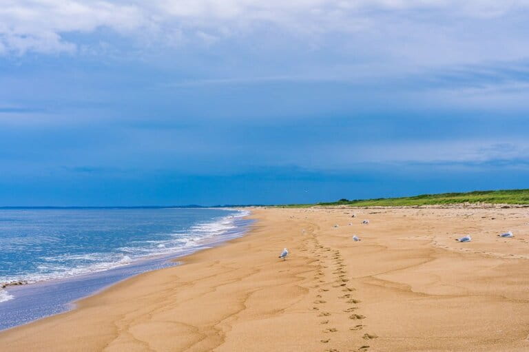 Plum Island Beach is a beautiful New England barrier island on the northeast coast of Massachusetts