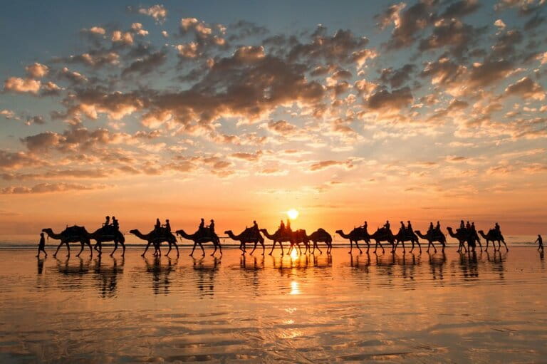Sunset silhouette of camels on Cable Beach, Broome, Western Australia